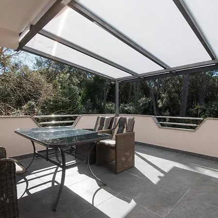 Sofia's بيوغْغاد نا موغو