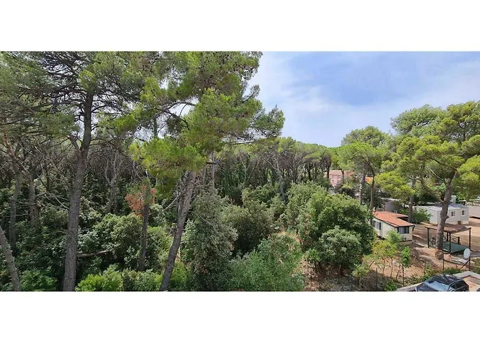 Sofia's بيوغْغاد نا موغو